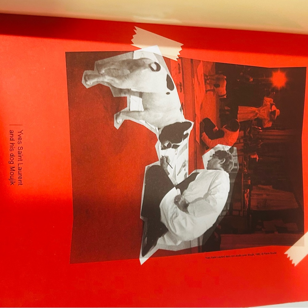 Yves‎ Saint Laurent Cream and Red Art Drawing Illustration - Picture 5 of 6